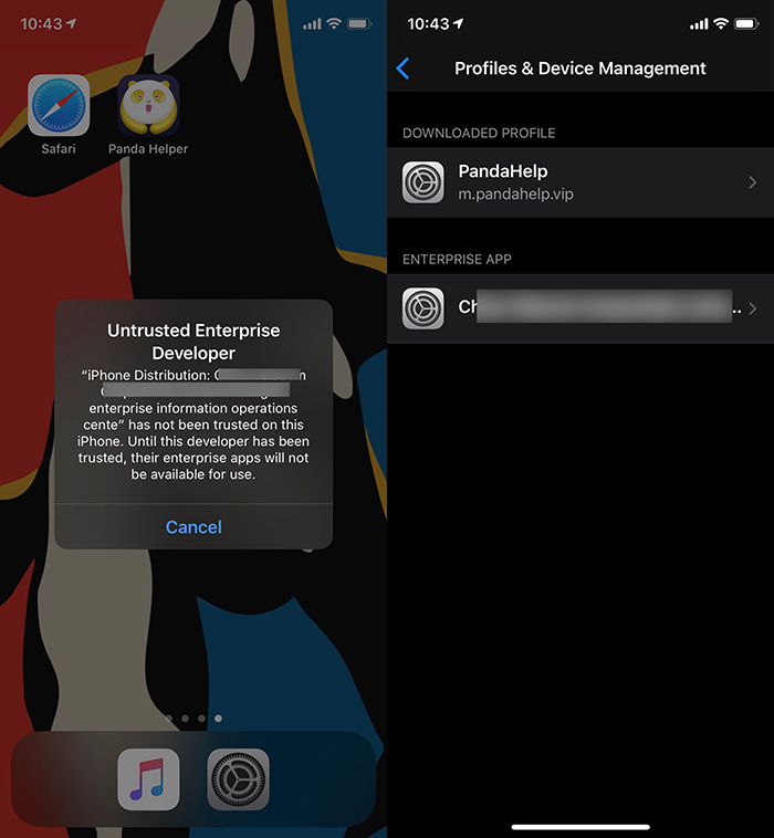 Tutorial: How To Install Panda Helper On iOS 13?