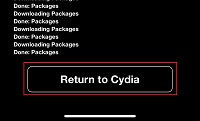3-Wait-a-while-and-tap-Return-to-Cydia