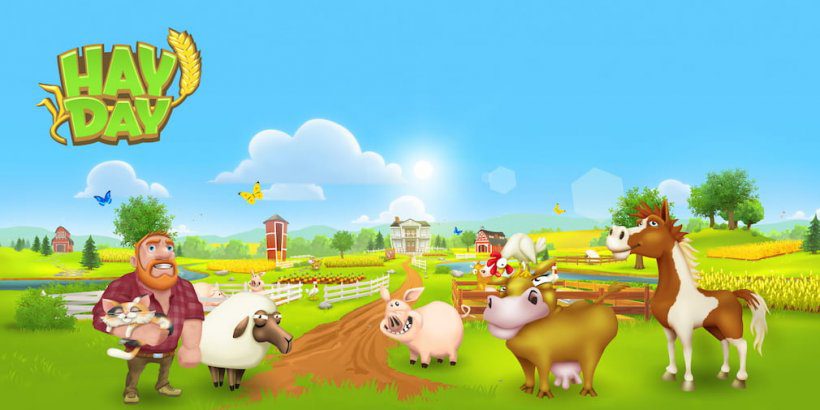 Hay day bot feature