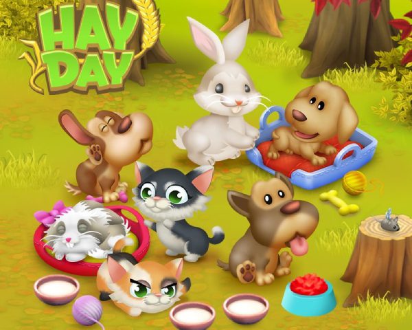 hay day pets