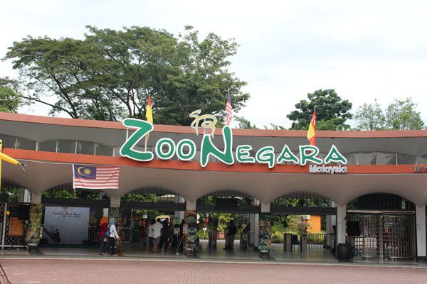 In Malaysia, Negara Zoo is the hotspot for Pokemon Go